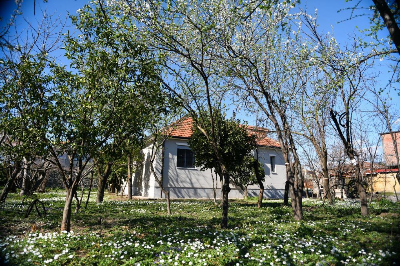 Nicolaus Hidden Gem * Shkodra